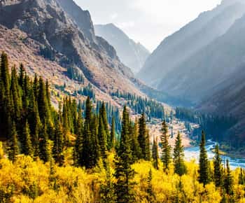Fra Bishkek: Halvdagsudflugt til Ala-Archa Nationalpark