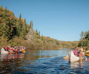 Toronto: Algonquin Park and Ragged Falls Day Trip