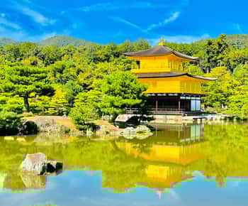 新倉山浅間公園 チケット＆ツアー | ゲットユアガイド | GetYourGuide