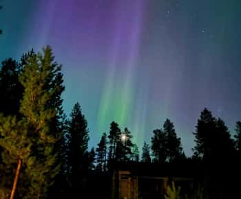 Ab Ruka: Nordlicht-Wildnistour mit Van
