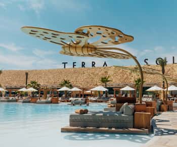 Terra Solis: Unwind and Re-Energize by the Pool