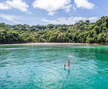 Manuel Antonio: tour de día completo con paddle surf y cascadas