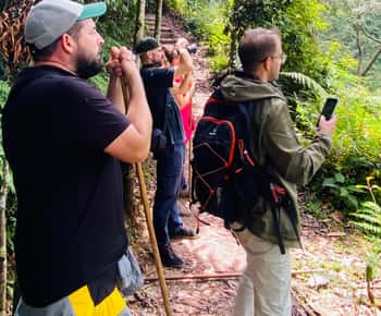 From Kigali: 2 days chimpanzee trekking and canopy walk