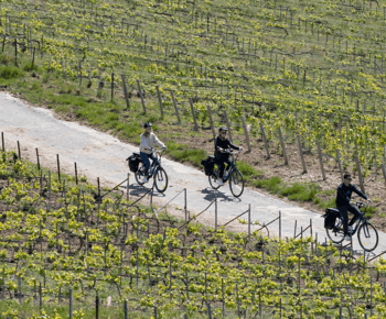 Von Reims aus: Champagner Nachmittags E-Bike Tour