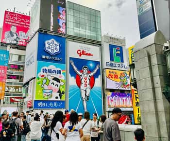 Osaka: Full-Day Sightseeing Guided Tour by Private Vehicle