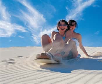 Pinnacles, Koalas & Sandboarding Tour Day Trip from Perth