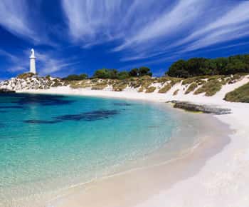 Rottnest Island: Grand Bus and Train Tour with Lunch