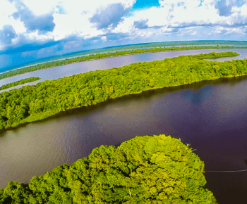 Manaus: Full-Day Tour on the Amazon River