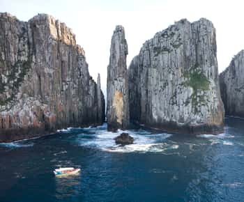 Tasman Peninsula Day Trip with Cruise & Devils from Hobart