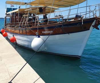 Fazana: Descobre golfinhos nas ilhas Brijuni Safari com jantar
