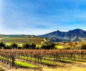 Maravilhas das Winelands: a viagem requintada da Cidade do Cabo