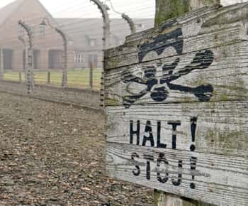 Von Wrocław aus: Ganztagestour Auschwitz-Birkenau Guided Tour