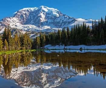 Privat omvisning i Mount Rainier fra Portland