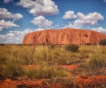 Depuis Alice Springs : Excursion d'une journée à Uluru avec dîner barbecue