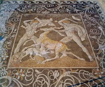 De Tessalónica: Viagem de 1 dia a Pella e Vergina