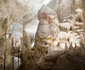 Ljubljana: Postojna Grot & Predjama Kasteel Tickets en Tour