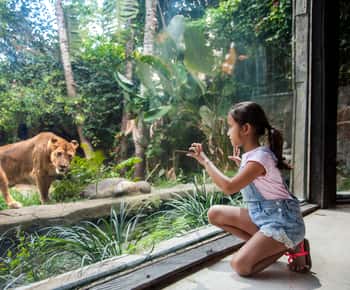 Entrébiljett till Bali Zoo