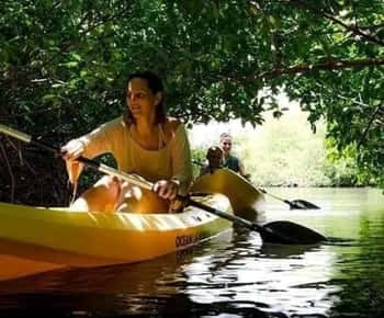 Zanzibar: 3-hour Kayak Tour through the Mangrove Forest