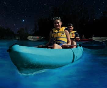 Titusville: Bioluminescent Kayaking Tour
