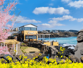 Jeju island : West & South Full-Day Tour