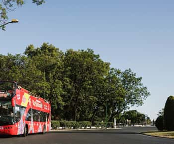 Potsdam: Stadtbesichtigung Hop-On/Hop-Off-Bustour