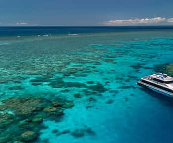 Port Douglas: Silversonic Great Barrier Reef Dive & Snorkel