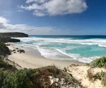 Penneshaw Excursión panorámica por la Isla Canguro