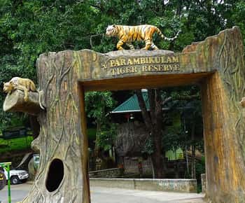 Coimbatore Day Tour: Forest, Wildlife & Hill Station Trip