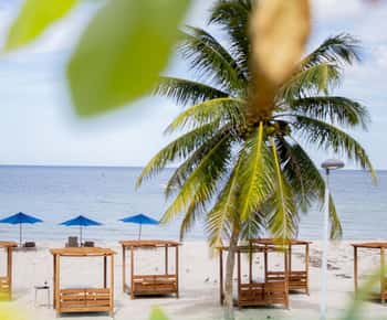 Progreso: Escapatta beach club All-Inclusive Option