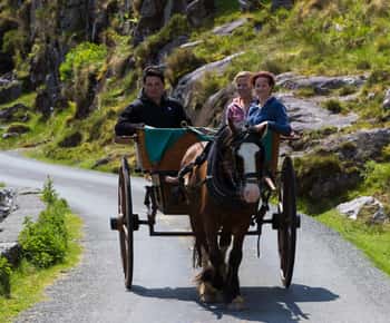 Gap of Dunloe & Lakes of Killlarney Boat Tour