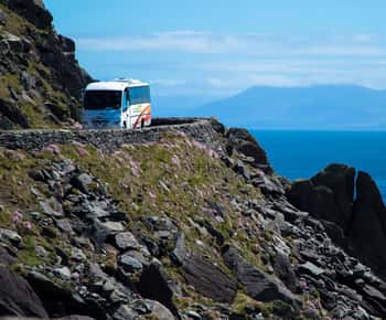 From Killarney: Dingle and Slea Head Peninsula Day Tour