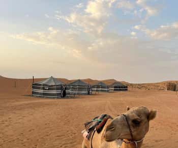 Luxury Overnight Desert Safari in Salalah