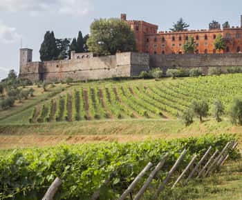 Ab Siena: Chianti-Weintour mit Mittagessen