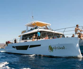 Gran Canaria: Katamaran-Kreuzfahrt mit Essen und Getränken