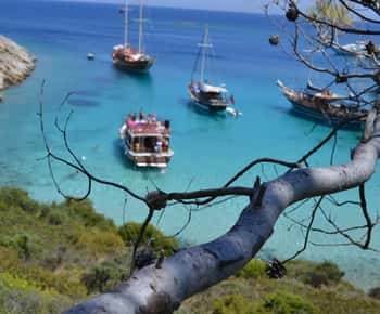 Full-Day Orak Island Boat Trip from Bodrum