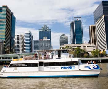 Brisbane River Cruise and Koala Sanctuary Visit