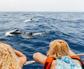 Costa Adeje: Tour in catamarano per l'avvistamento delle balene con bevande