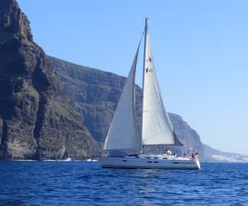 Tenerife: Los Gigantes Whale Watching Cruise by Sail Boat