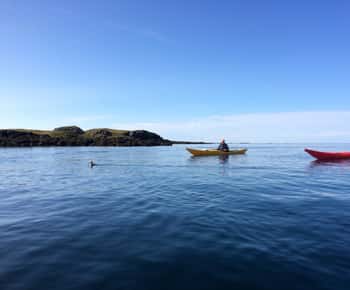 Stykkishólmur: 2-Hour Sea Kayak Tour