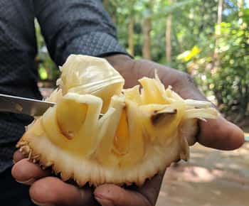 Zanzibar: Stone Town Tour, Spice Farm & Cooking Class