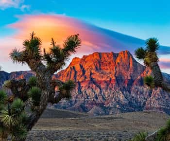 レッド ロック キャニオン国立保護区 チケット＆ツアー | ゲットユア