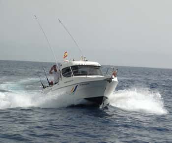 Adeje: 3,5 timers professionel fiskeoplevelse