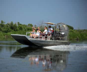 From Lafitte: Swamp Tours South of New Orleans by Airboat