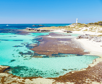 Rottnest Grand Island Package with Ferry, Tour & Light Lunch
