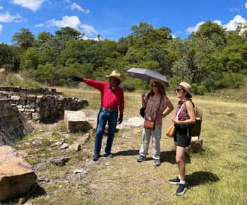 Oaxaca de Juárez: Tour de medio día por Monte Albán