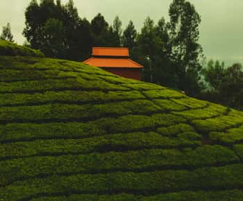 Coimbatore: Ooty and Coonoor 4-Day Tour Package