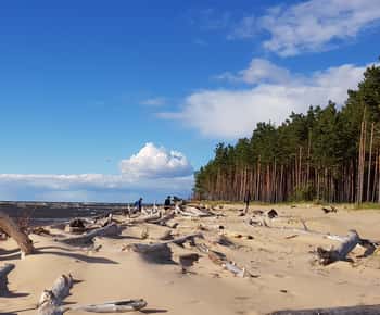 From Riga: Four Natural Ecosystems In One Hike