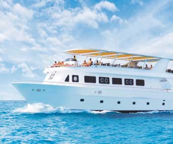 Cairo: cruzeiro de mergulho com snorkel de luxo e almoço com coleta opcional