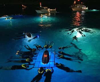 Kailua Kona: Night Manta Ray Adventure on the Big Island