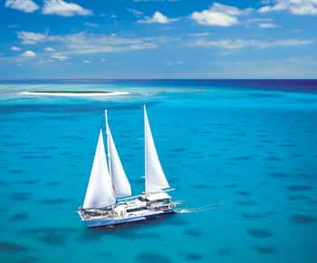 Cairnsből: Cairns: Vitorlázás Michaelmas Cay-re vízi programokkal